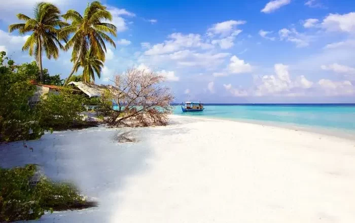 The Most Popular Thousand Island Tour